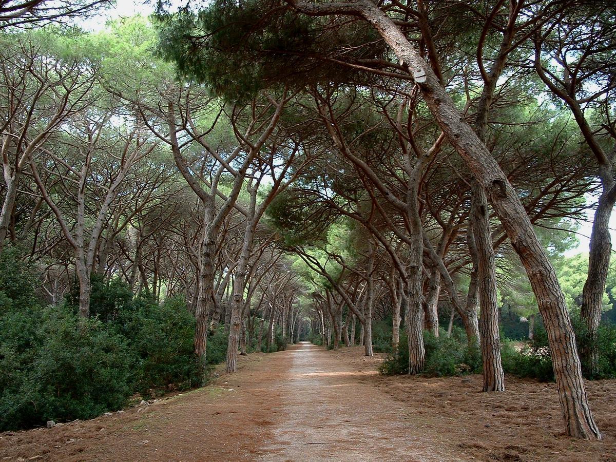 Mini hotel Orbetello Luaran gambar